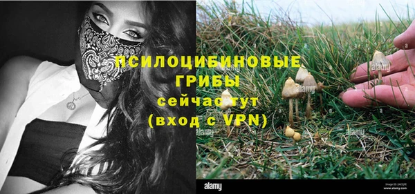 ГАЛЛЮЦИНОГЕННЫЕ ГРИБЫ Белоозёрский