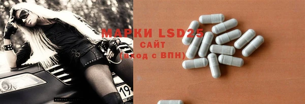 прущие грибы Костерёво